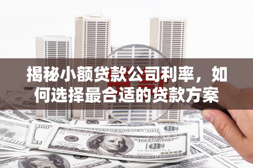 阿勒泰揭秘小额贷款公司利率，如何选择最合适的贷款方案