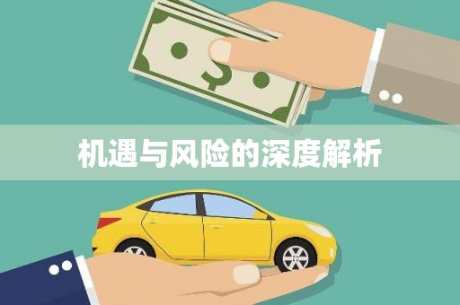 阿勒泰机遇与风险的深度解析