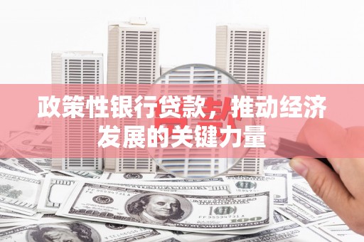 阿勒泰政策性银行贷款，推动经济发展的关键力量