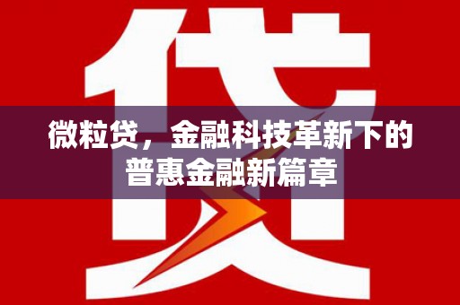 阿勒泰微粒贷，金融科技革新下的普惠金融新篇章