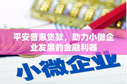阿勒泰平安普惠贷款，助力小微企业发展的金融利器