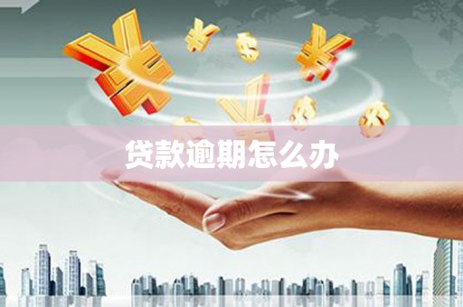 阿勒泰贷款逾期怎么办