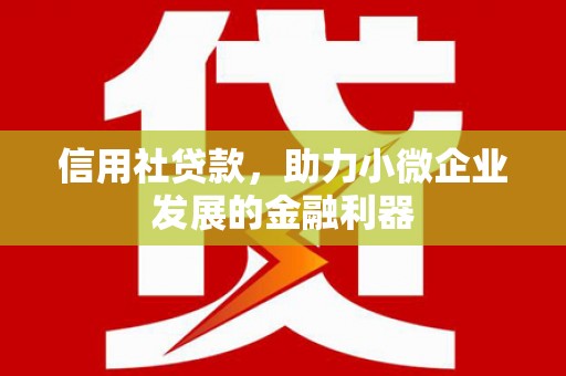 阿勒泰信用社贷款，助力小微企业发展的金融利器