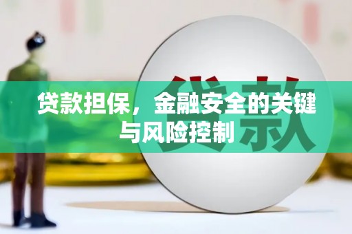 阿勒泰贷款担保，金融安全的关键与风险控制