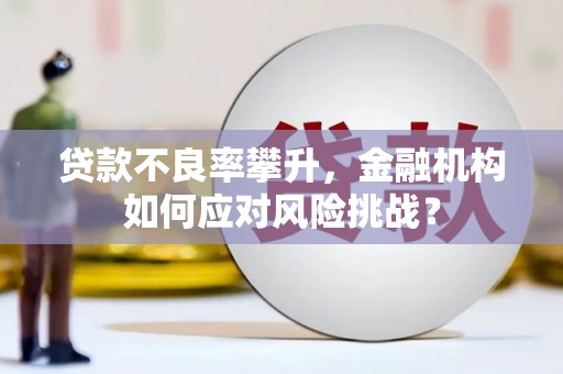 阿勒泰贷款不良率攀升，金融机构如何应对风险挑战？