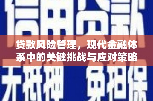 阿勒泰贷款风险管理，现代金融体系中的关键挑战与应对策略