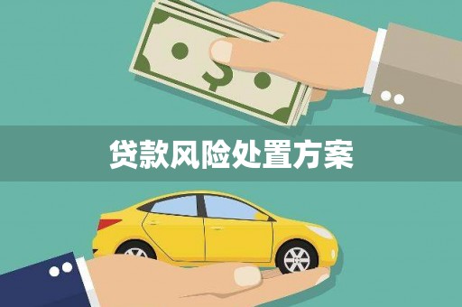 阿勒泰贷款风险处置方案