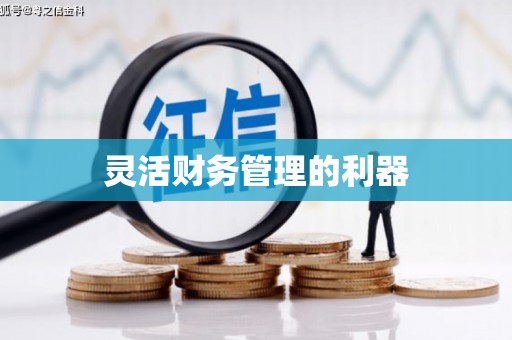 阿勒泰灵活财务管理的利器