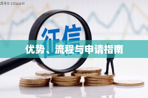 阿勒泰优势、流程与申请指南