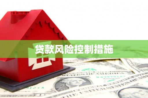 阿勒泰贷款风险控制措施