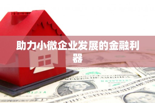 阿勒泰助力小微企业发展的金融利器