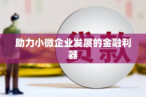阿勒泰助力小微企业发展的金融利器