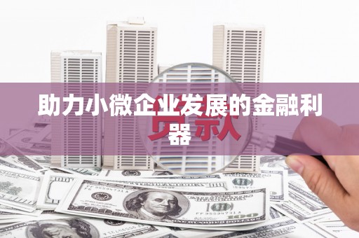 阿勒泰助力小微企业发展的金融利器