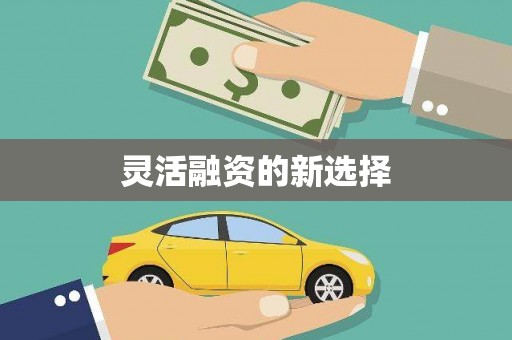 阿勒泰灵活融资的新选择
