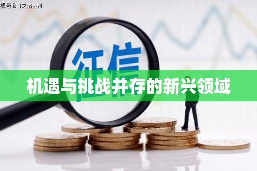 阿勒泰机遇与挑战并存的新兴领域
