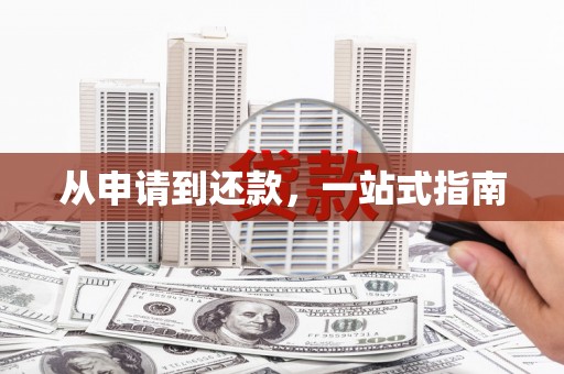 阿勒泰从申请到还款，一站式指南