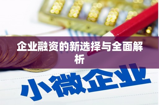 阿勒泰企业融资的新选择与全面解析