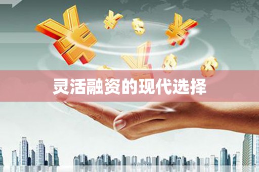 阿勒泰灵活融资的现代选择