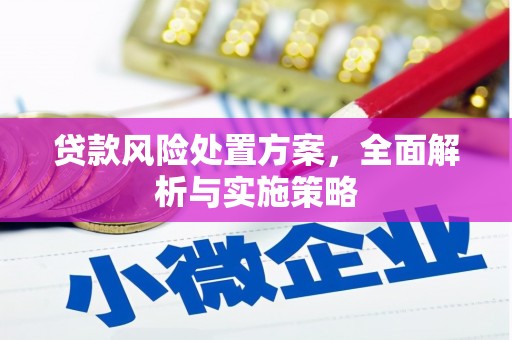 阿勒泰贷款风险处置方案，全面解析与实施策略