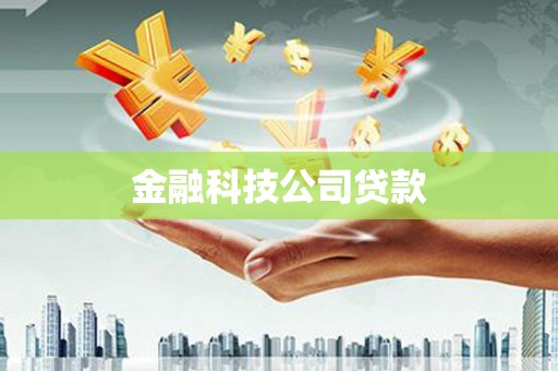 阿勒泰金融科技公司贷款