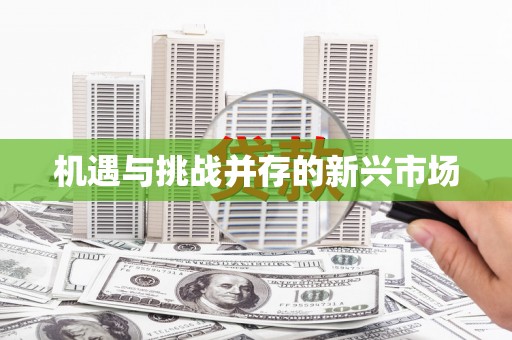 阿勒泰机遇与挑战并存的新兴市场