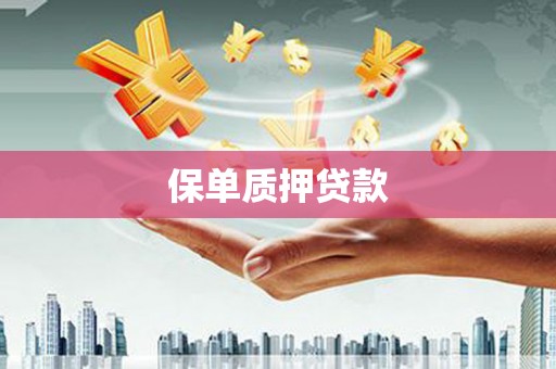 阿勒泰保单质押贷款