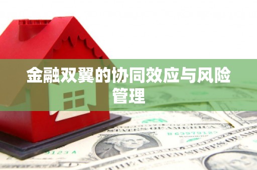 阿勒泰金融双翼的协同效应与风险管理