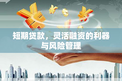 阿勒泰短期贷款，灵活融资的利器与风险管理