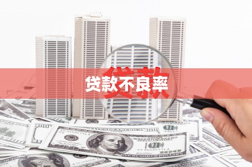 阿勒泰贷款不良率